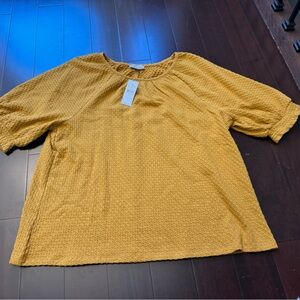 LOFT Golden Textured Top